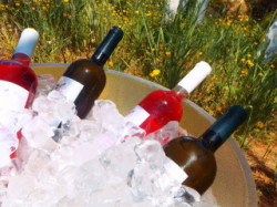 Wine+Tasting+On+Crete+Idia