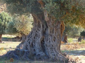 Walking and Hiking on Crete Greece (22)