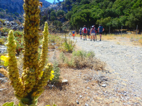 Walking and Hiking on Crete Greece (64)