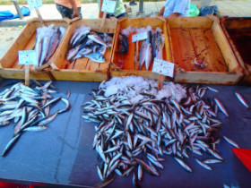 fish market on crete