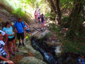 Jungle walks on Crete